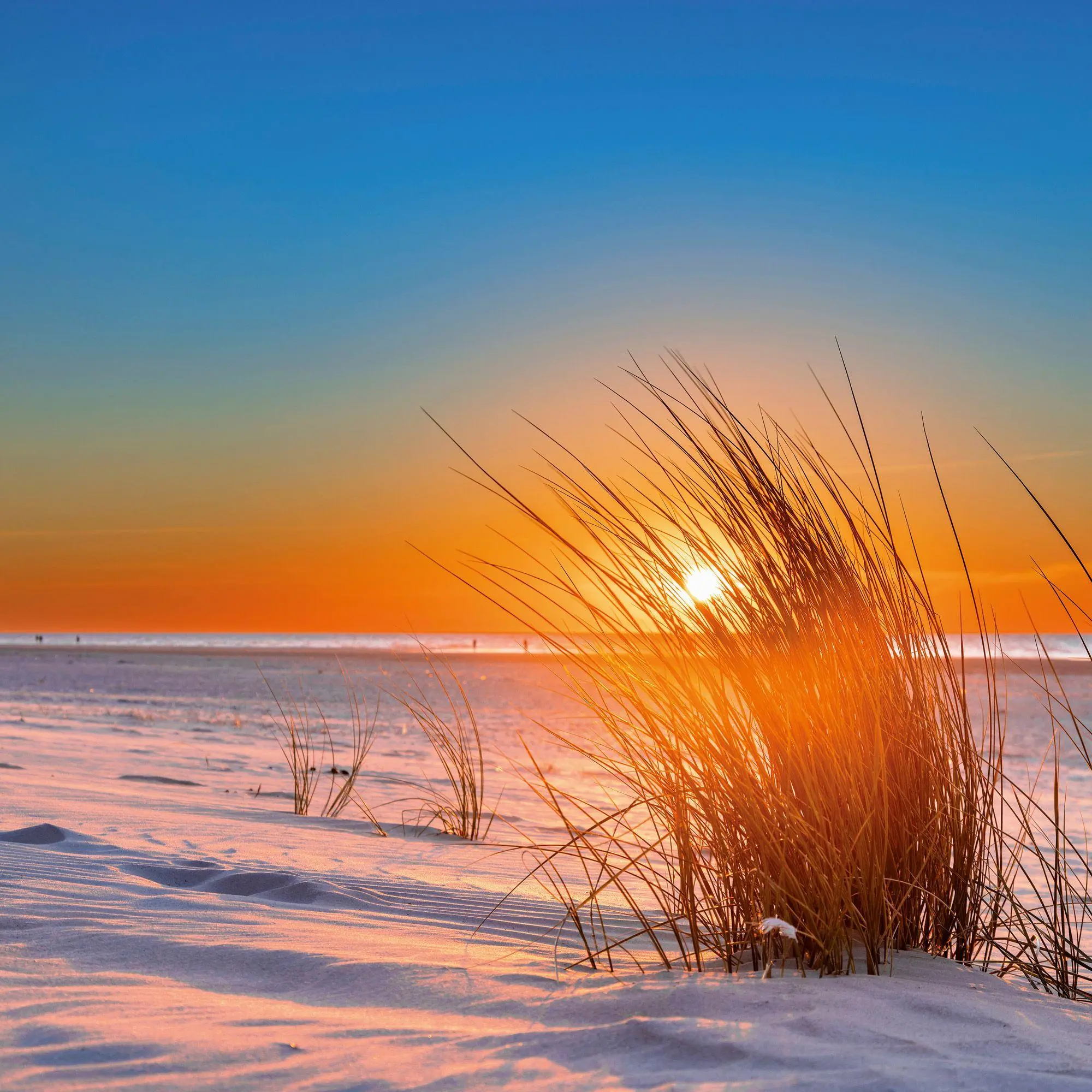 Bild: 9783959297509 | Nordsee / Northern Sea 2027 | Kalender 2027 | Kalender | 28 S. | 2027