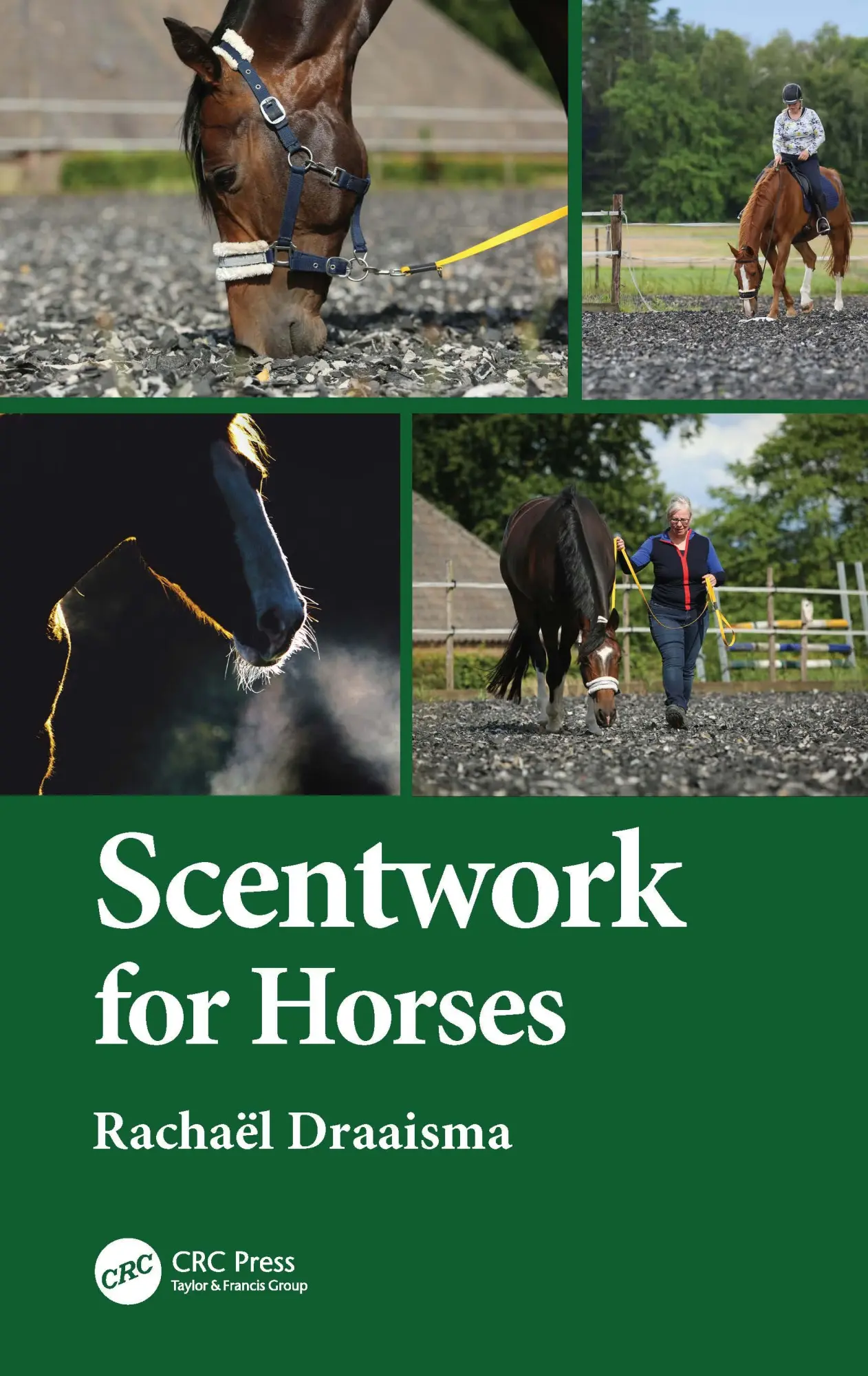 Cover: 9780367537609 | Scentwork for Horses | Rachaël Draaisma | Taschenbuch | Englisch