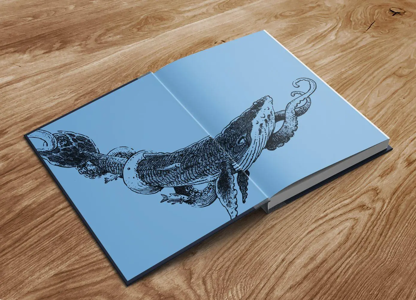 Bild: 9783945877609 | North Star | 42 Geschichten gegen das Meerweh | Stefan Kruecken | Buch