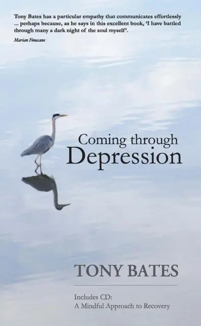 Cover: 9780717147809 | Coming Through Depression | Tony Bates | Taschenbuch | Englisch | 2011