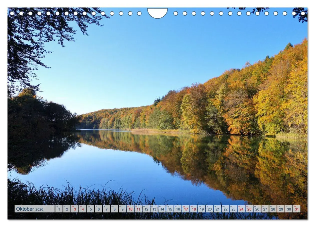 Bild: 9783457547809 | Magisches Ostholstein (Wandkalender 2026 DIN A4 quer), CALVENDO...