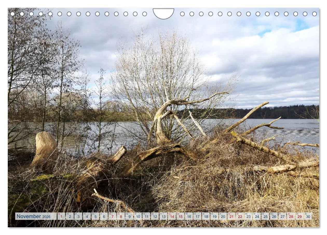 Bild: 9783457547809 | Magisches Ostholstein (Wandkalender 2026 DIN A4 quer), CALVENDO...