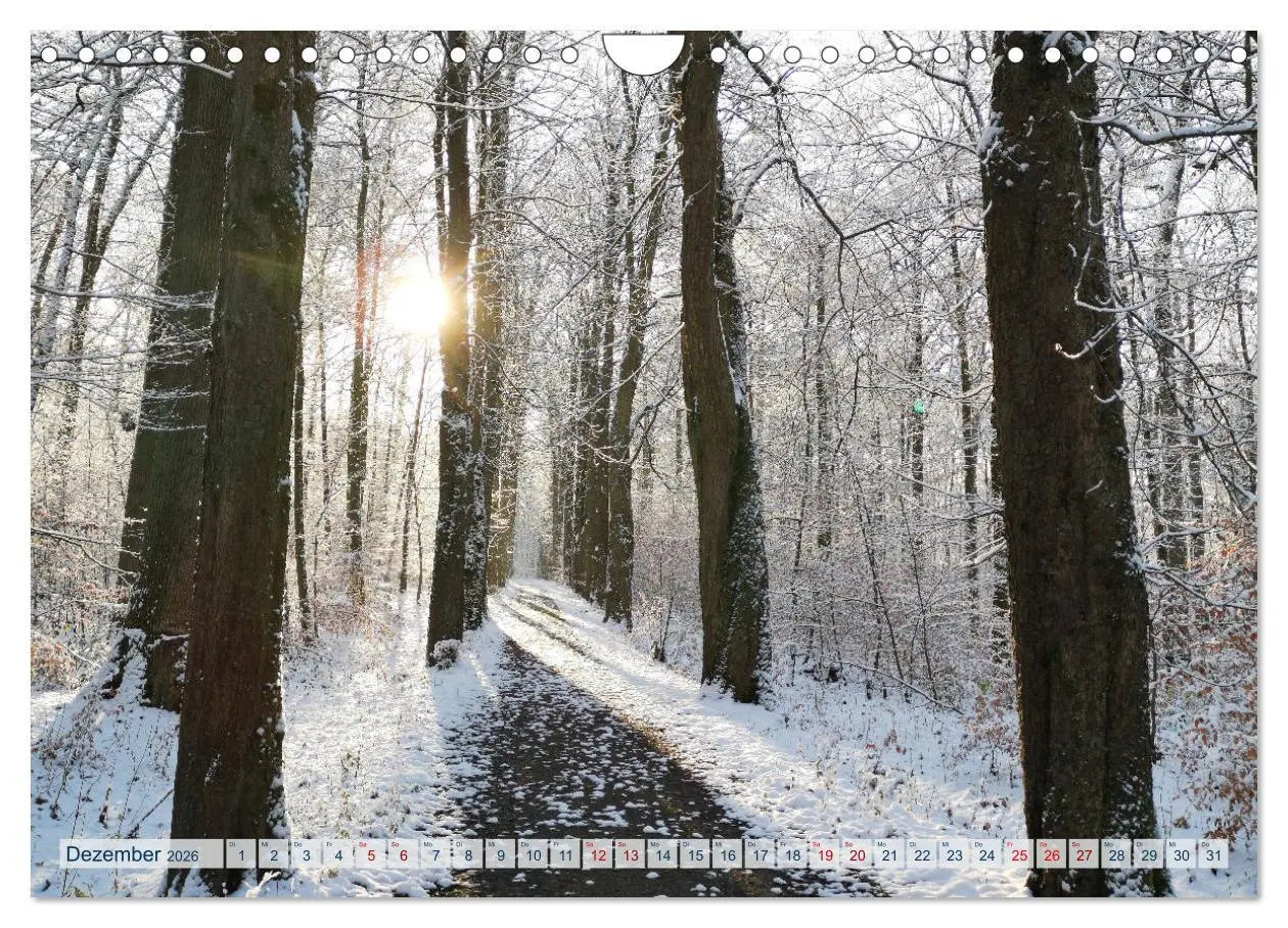 Bild: 9783457547809 | Magisches Ostholstein (Wandkalender 2026 DIN A4 quer), CALVENDO...