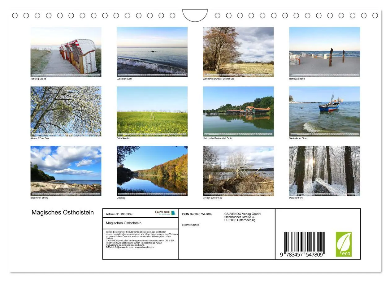 Bild: 9783457547809 | Magisches Ostholstein (Wandkalender 2026 DIN A4 quer), CALVENDO...