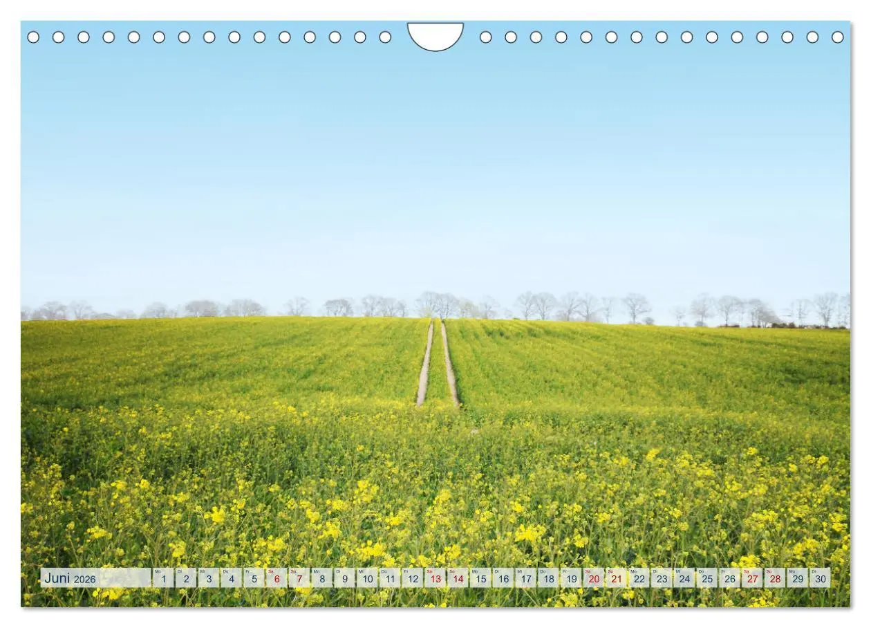 Bild: 9783457547809 | Magisches Ostholstein (Wandkalender 2026 DIN A4 quer), CALVENDO...
