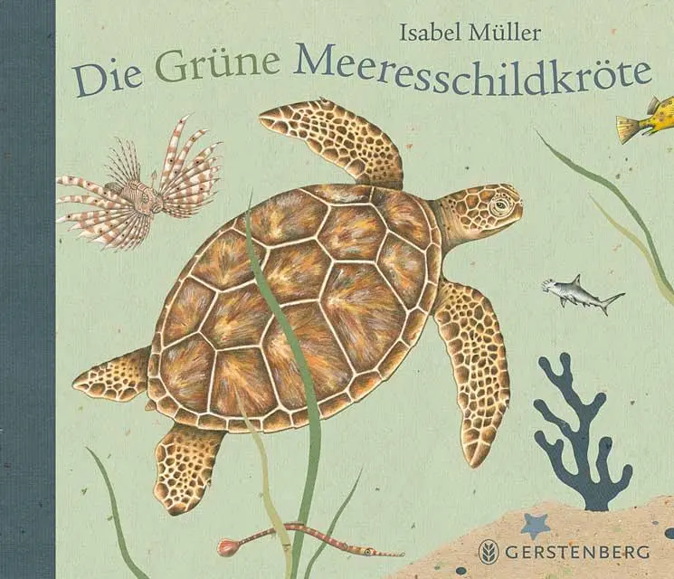 Cover: 9783836957809 | Die Grüne Meeresschildkröte | Isabel Müller | Buch | 40 S. | Deutsch