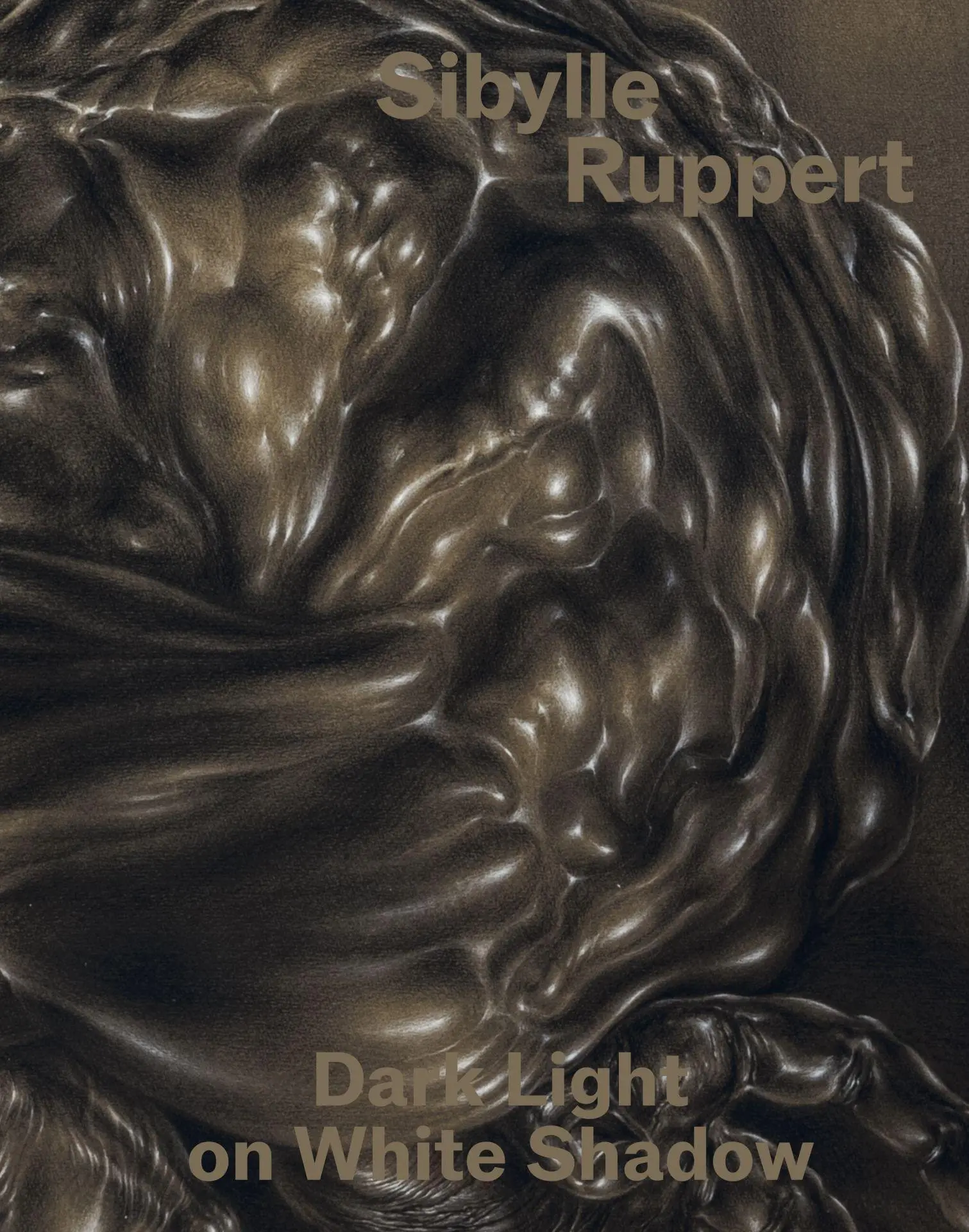 Cover: 9783954767809 | Dark Light on White Shadow | Sibylle Ruppert | Sibylle Ruppert | Buch