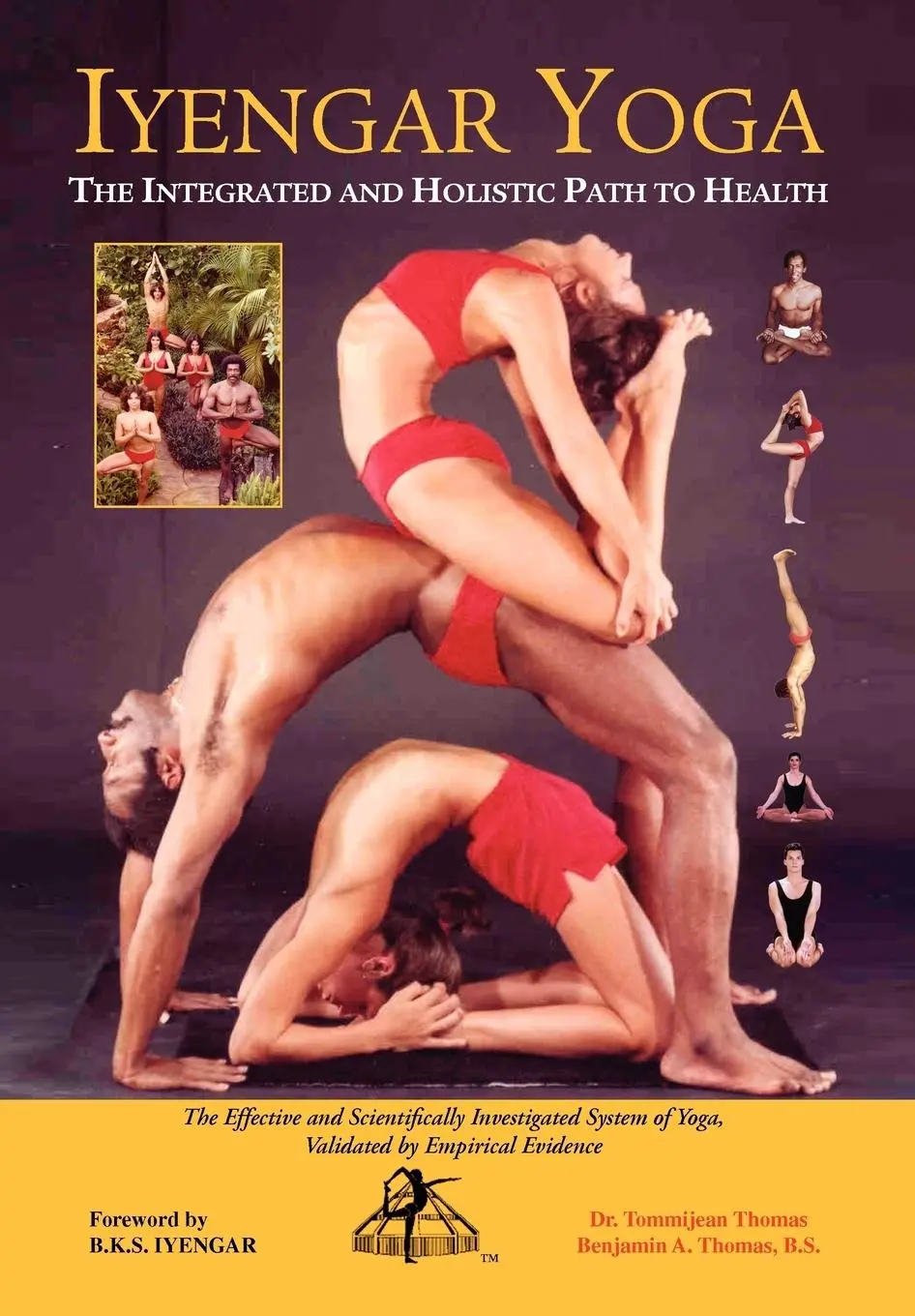 Cover: 9781425747909 | IYENGAR YOGA THE INTEGRATED AND HOLISTIC PATH TO HEALTH | Buch | 2008