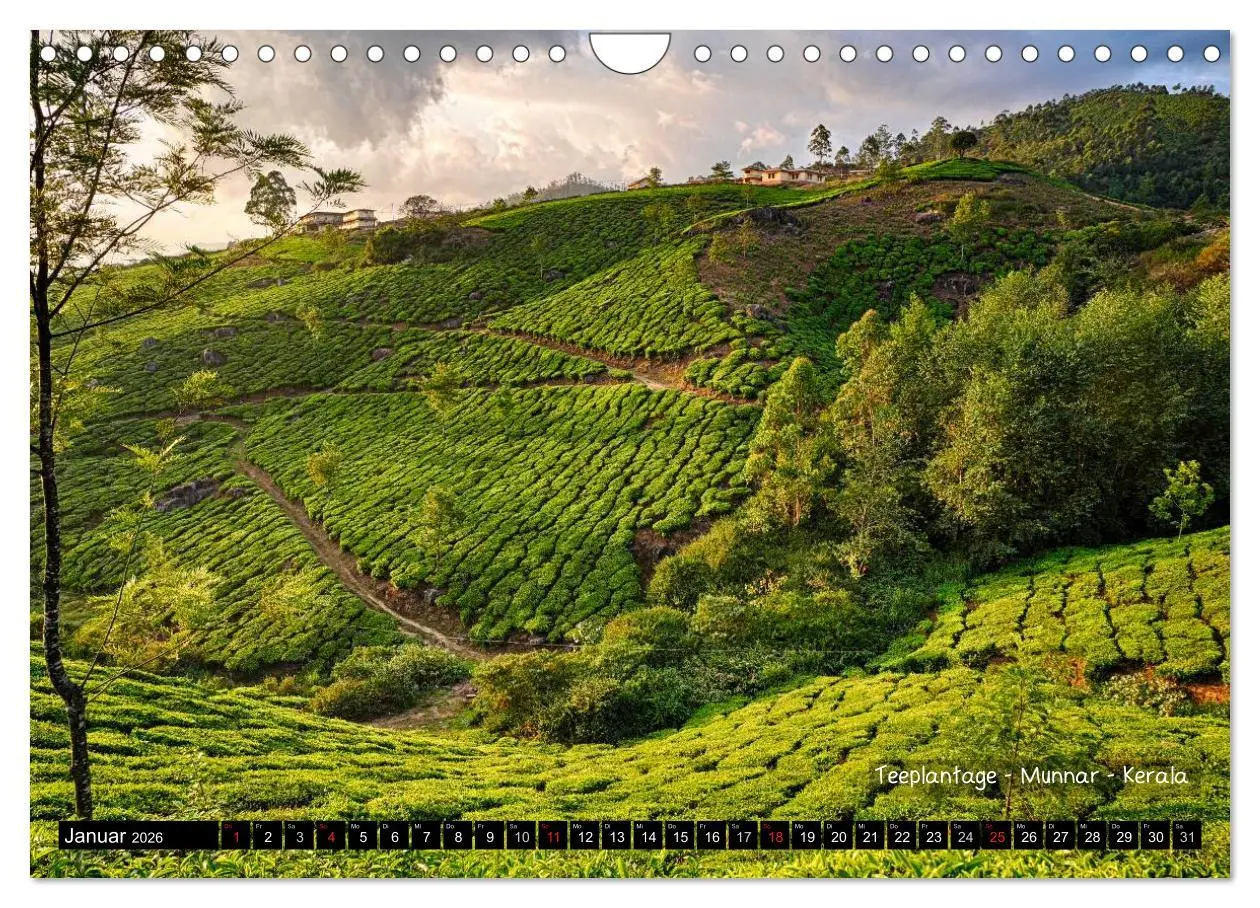 Bild: 9783457978009 | Der zauberhafte Süden Indiens (Wandkalender 2026 DIN A4 quer),...