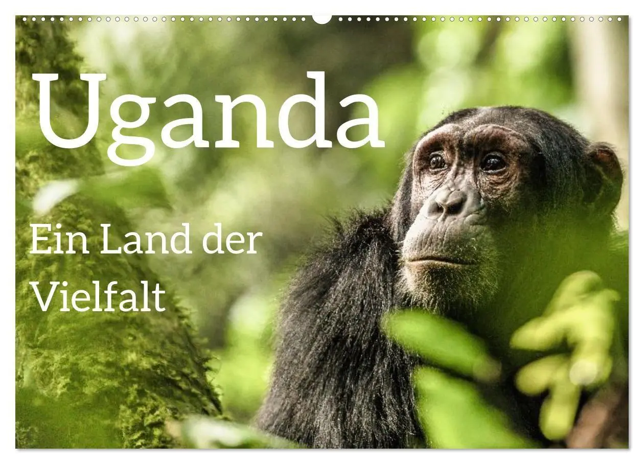 Cover: 9783569398009 | Uganda - ein Land der Vielfalt (Wandkalender 2027 DIN A2 quer),...