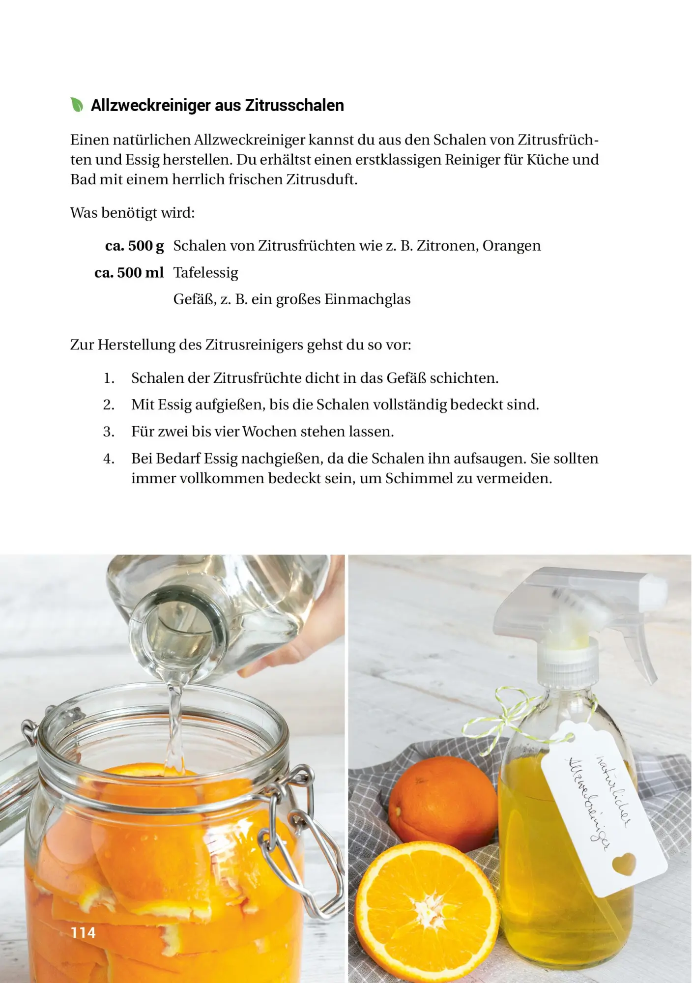 Bild: 9783946658009 | Fünf Hausmittel ersetzen eine Drogerie | smarticular Verlag | Buch