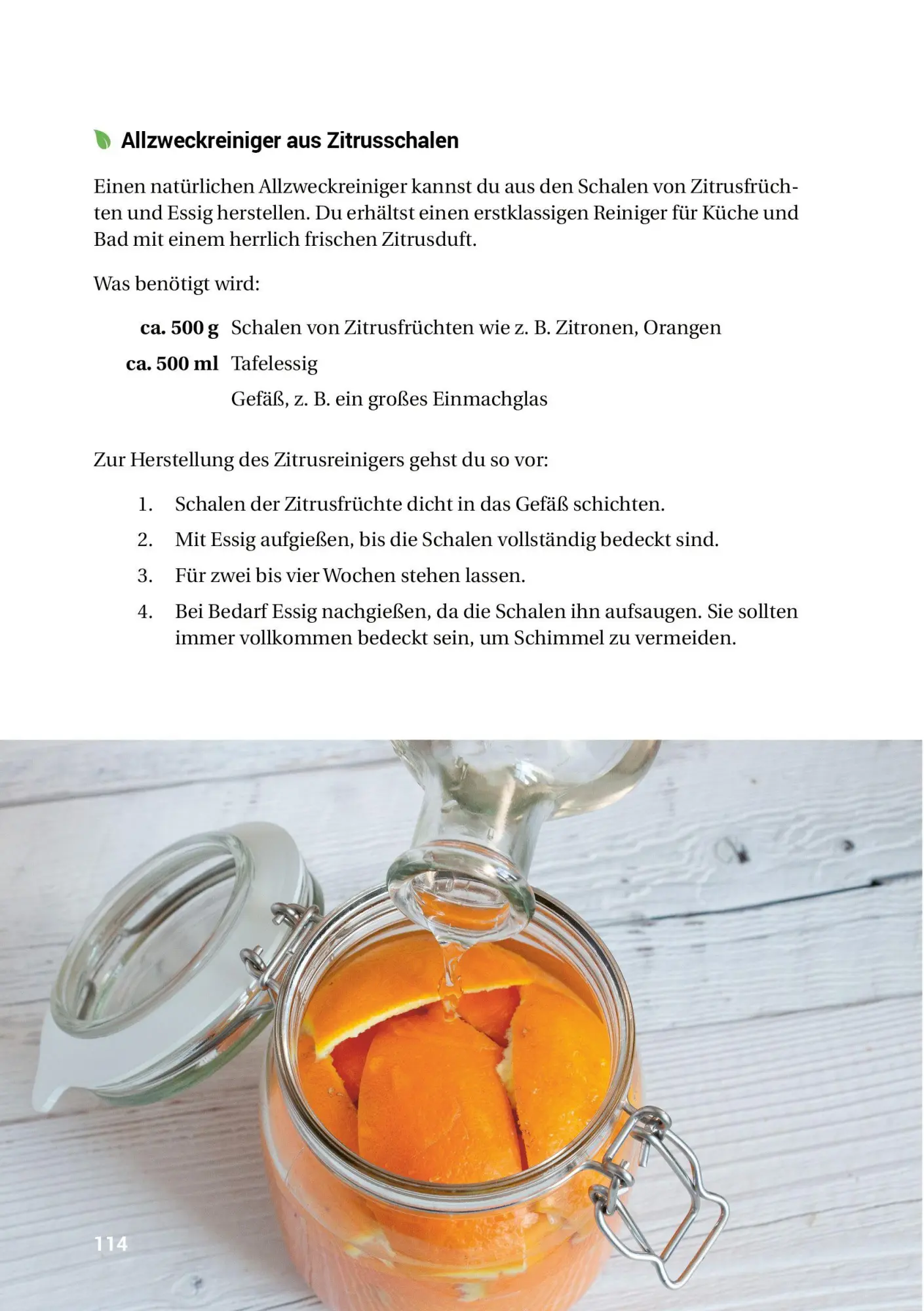 Bild: 9783946658009 | Fünf Hausmittel ersetzen eine Drogerie | smarticular Verlag | Buch