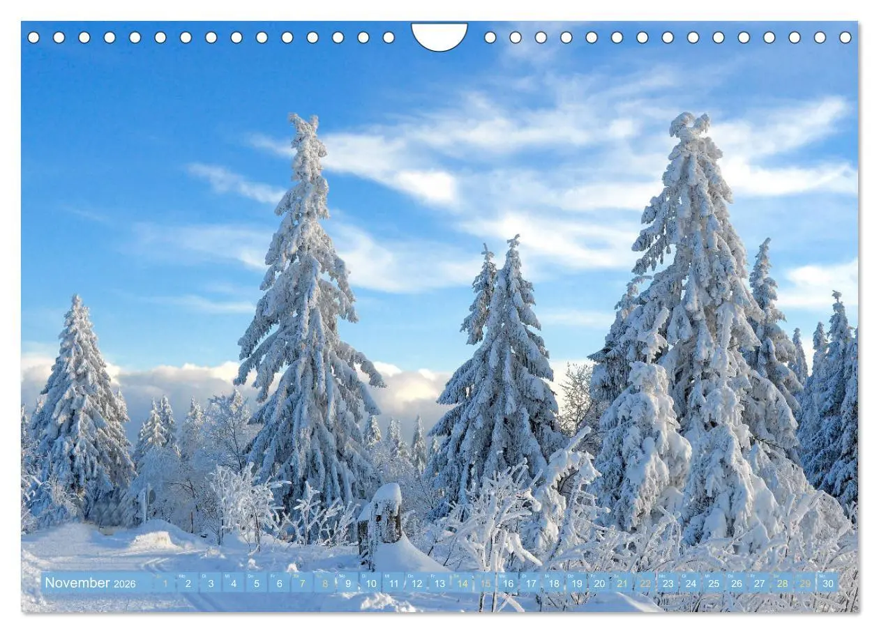 Bild: 9783457348109 | Schwarzwald - Märchenwald (Wandkalender 2026 DIN A4 quer), CALVENDO...
