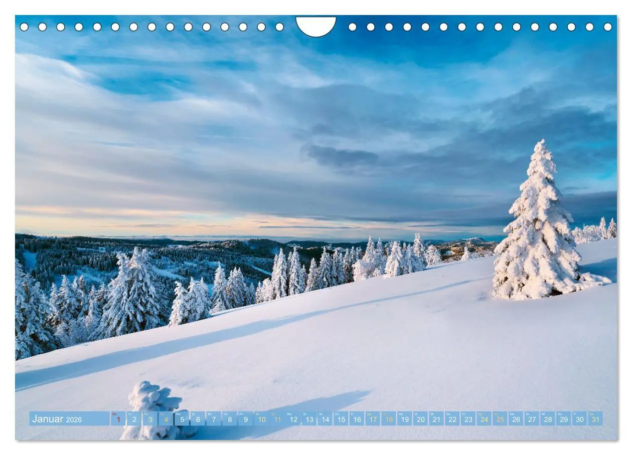Bild: 9783457348109 | Schwarzwald - Märchenwald (Wandkalender 2026 DIN A4 quer), CALVENDO...
