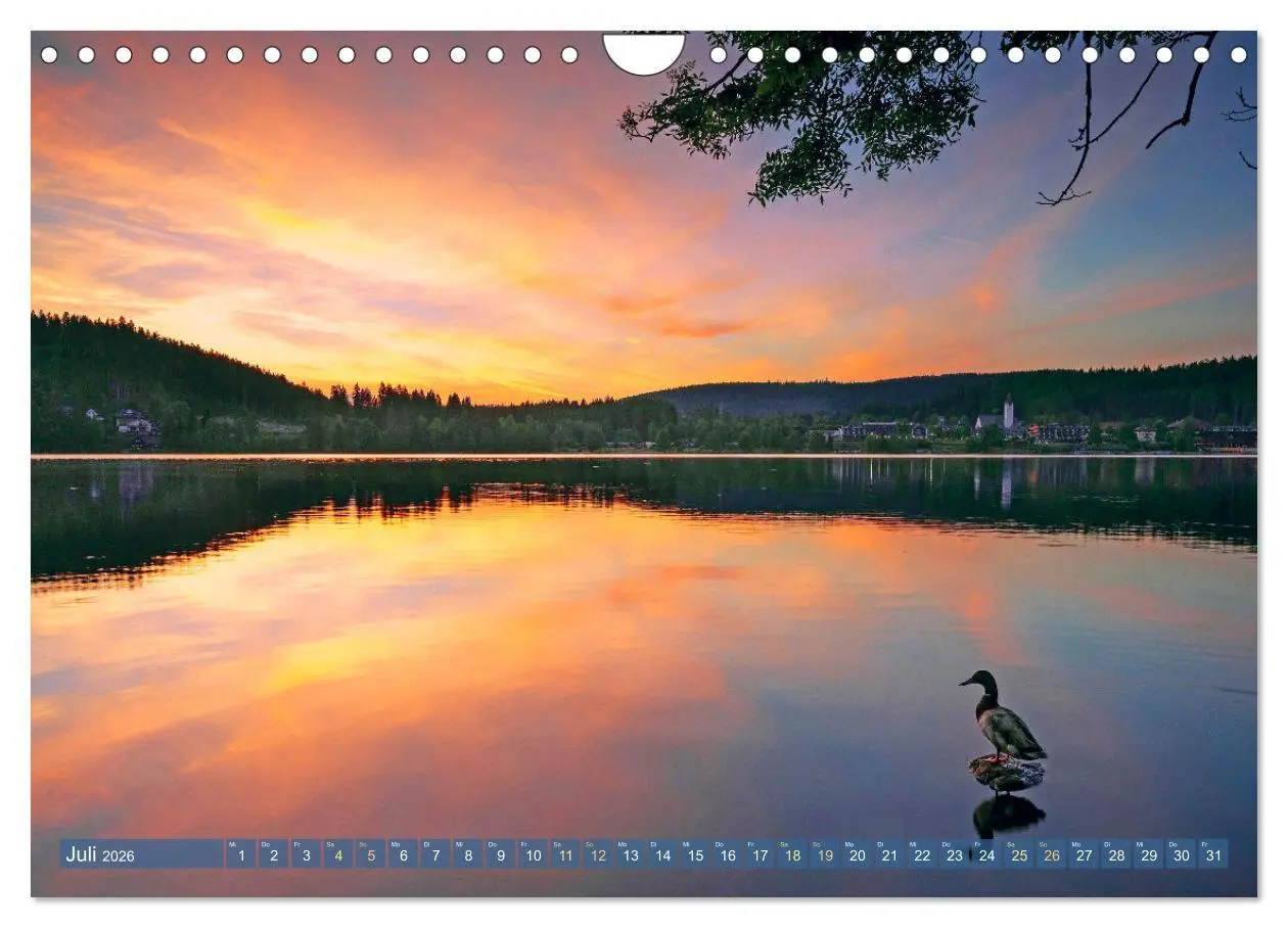 Bild: 9783457348109 | Schwarzwald - Märchenwald (Wandkalender 2026 DIN A4 quer), CALVENDO...