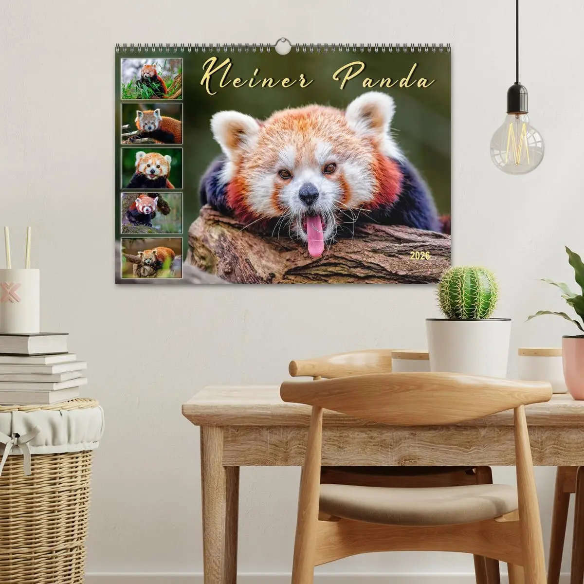 Bild: 9783457898109 | Kleiner Panda (Wandkalender 2026 DIN A3 quer), CALVENDO Monatskalender