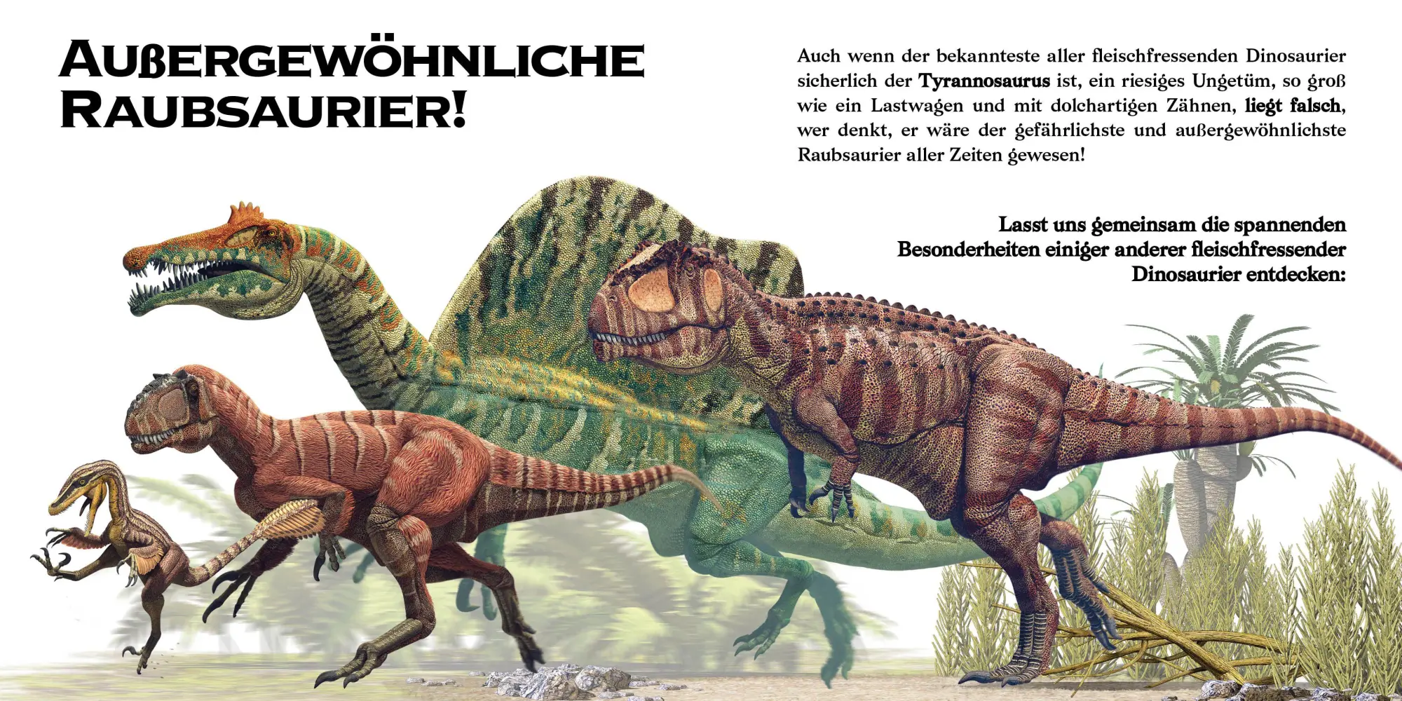 Bild: 9788863128109 | Konturenpuzzle T-Rex | White Star Kids | Spiel | 10 S. | Deutsch