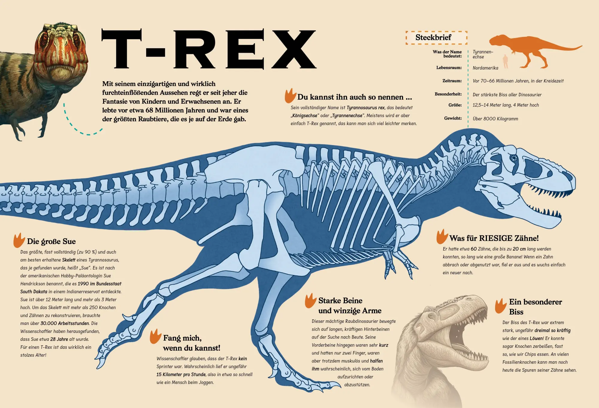 Bild: 9788863128109 | Konturenpuzzle T-Rex | White Star Kids | Spiel | 10 S. | Deutsch