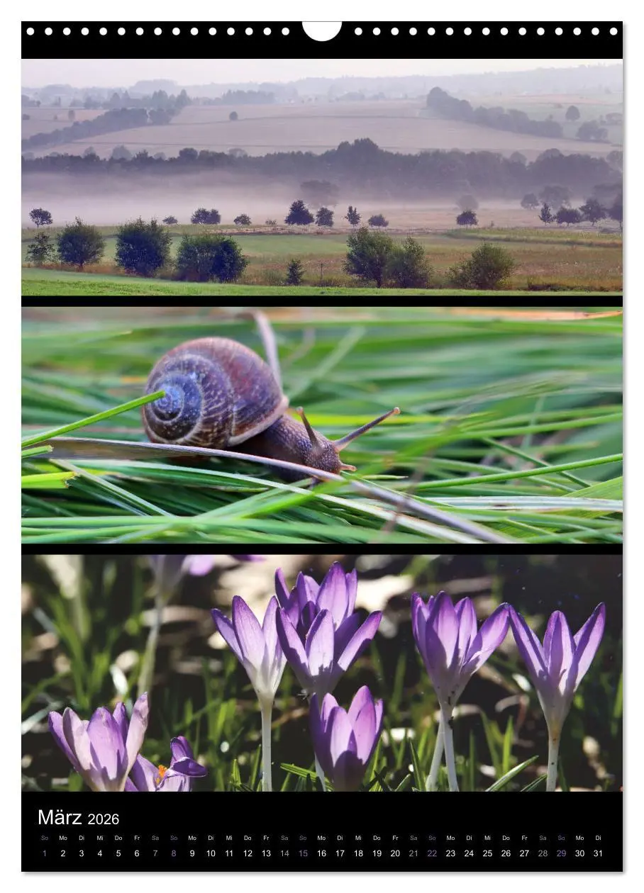 Bild: 9783516358209 | Bezaubernde Farben der Natur (Wandkalender 2026 DIN A3 hoch),...