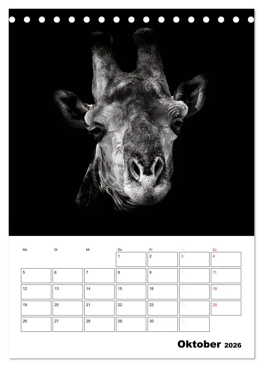 Bild: 9783516428209 | Charakterköpfe aus der Welt der Tiere (Tischkalender 2026 DIN A5...