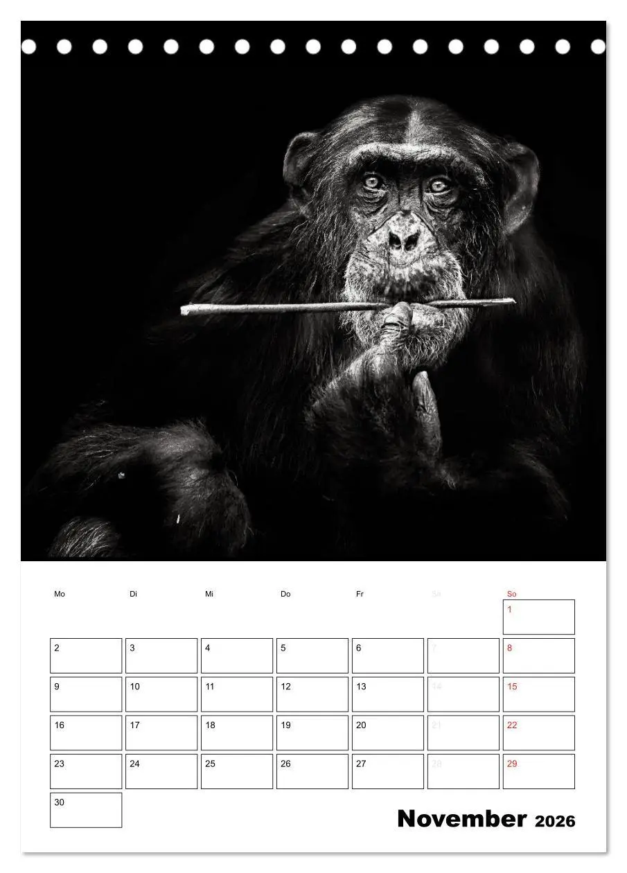 Bild: 9783516428209 | Charakterköpfe aus der Welt der Tiere (Tischkalender 2026 DIN A5...