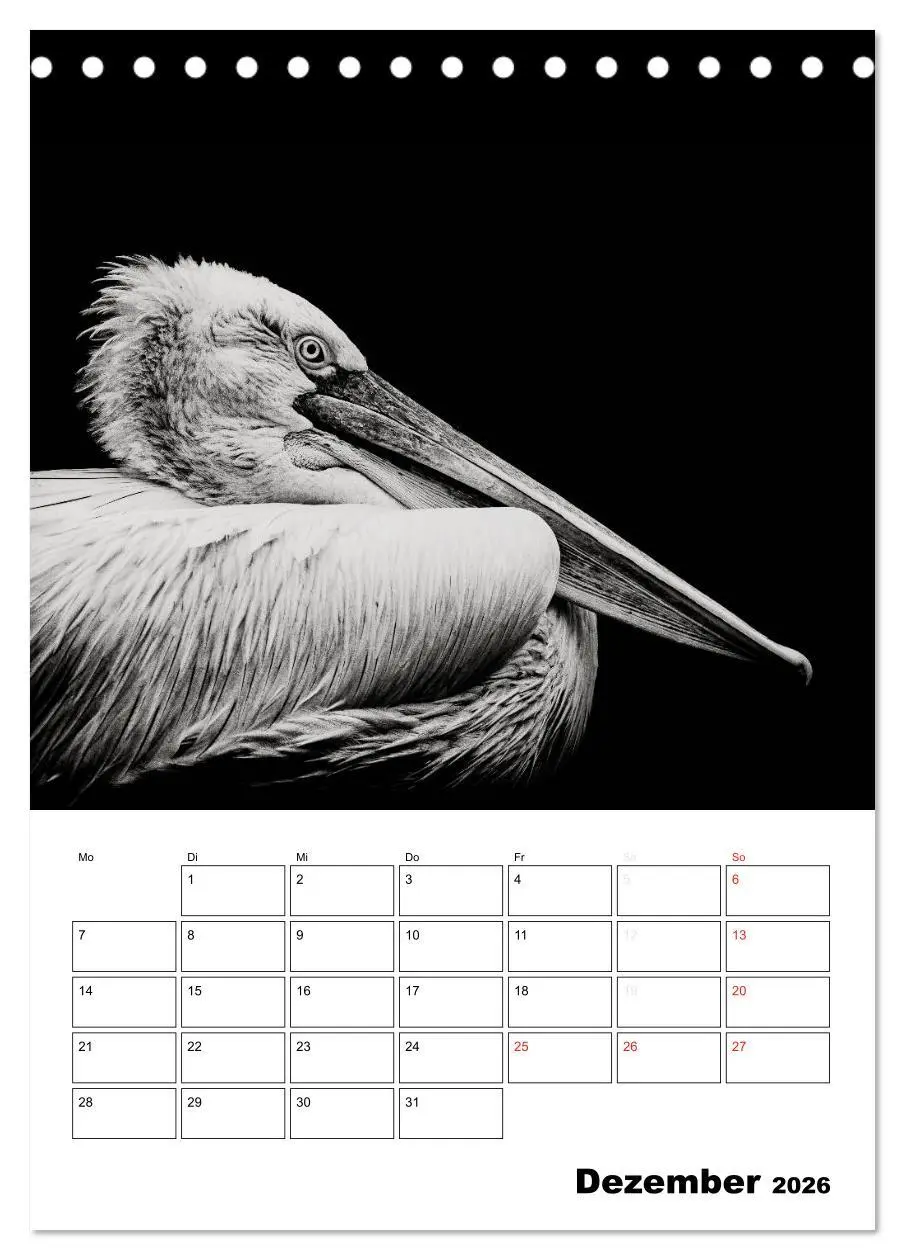 Bild: 9783516428209 | Charakterköpfe aus der Welt der Tiere (Tischkalender 2026 DIN A5...