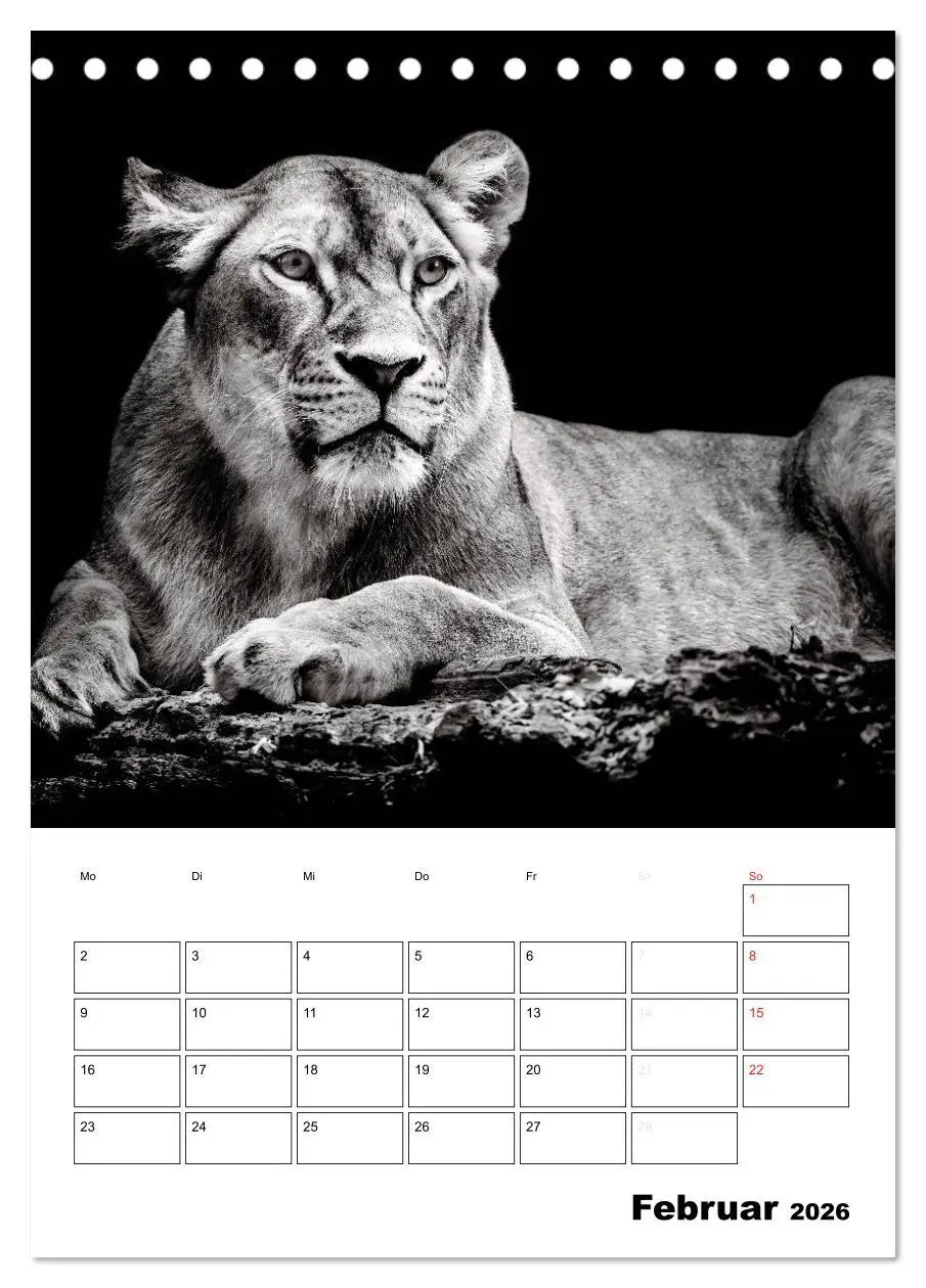 Bild: 9783516428209 | Charakterköpfe aus der Welt der Tiere (Tischkalender 2026 DIN A5...