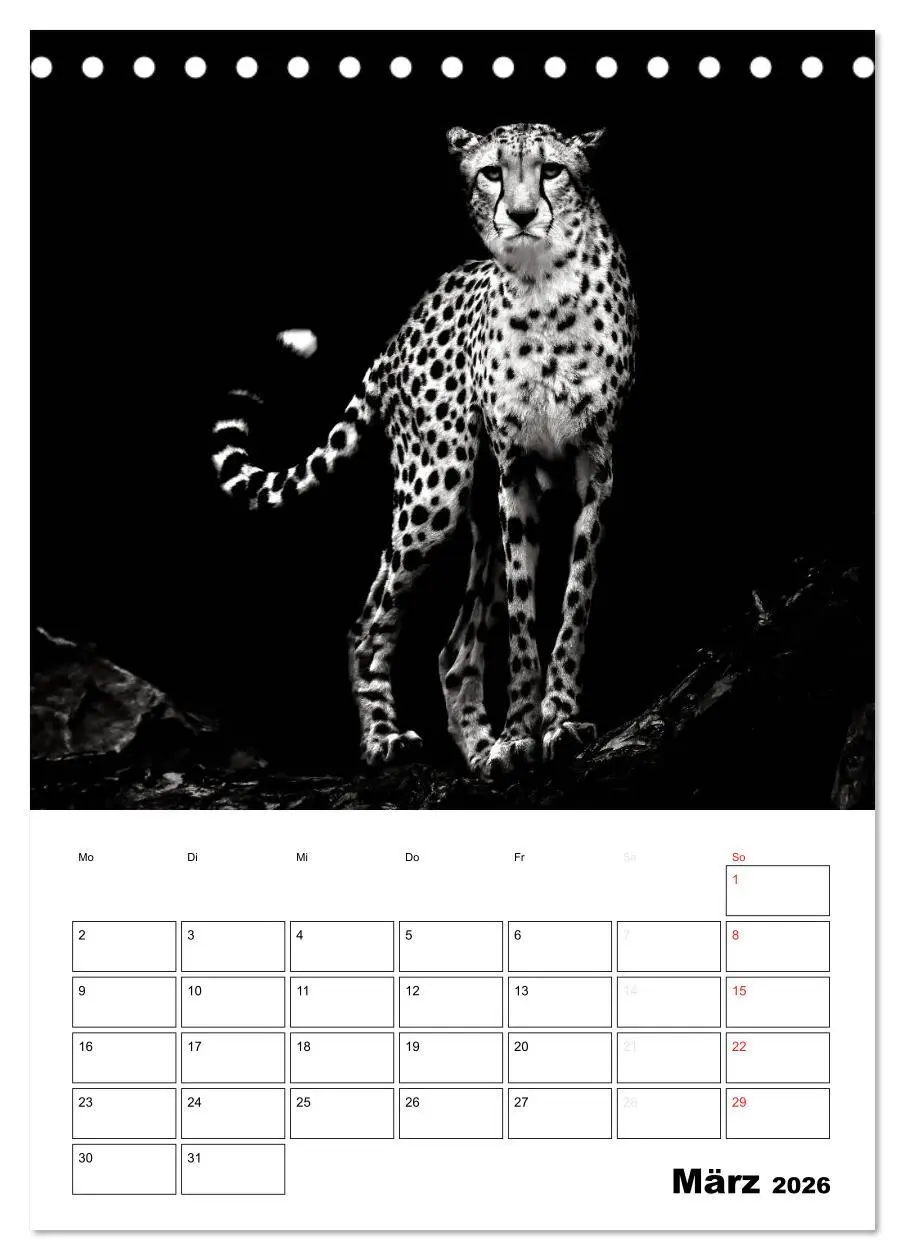Bild: 9783516428209 | Charakterköpfe aus der Welt der Tiere (Tischkalender 2026 DIN A5...