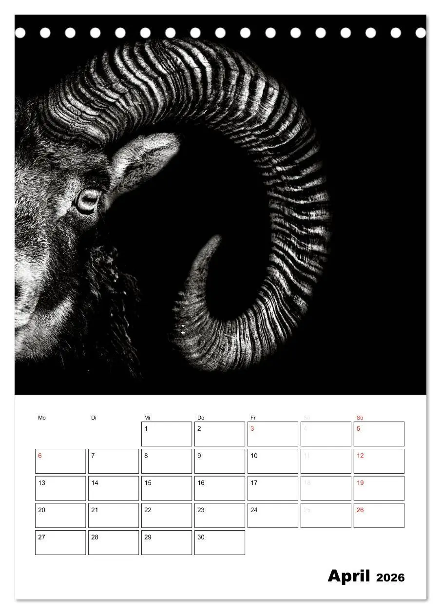 Bild: 9783516428209 | Charakterköpfe aus der Welt der Tiere (Tischkalender 2026 DIN A5...