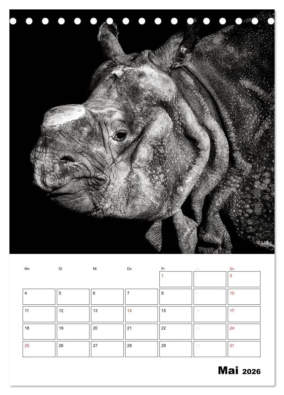 Bild: 9783516428209 | Charakterköpfe aus der Welt der Tiere (Tischkalender 2026 DIN A5...