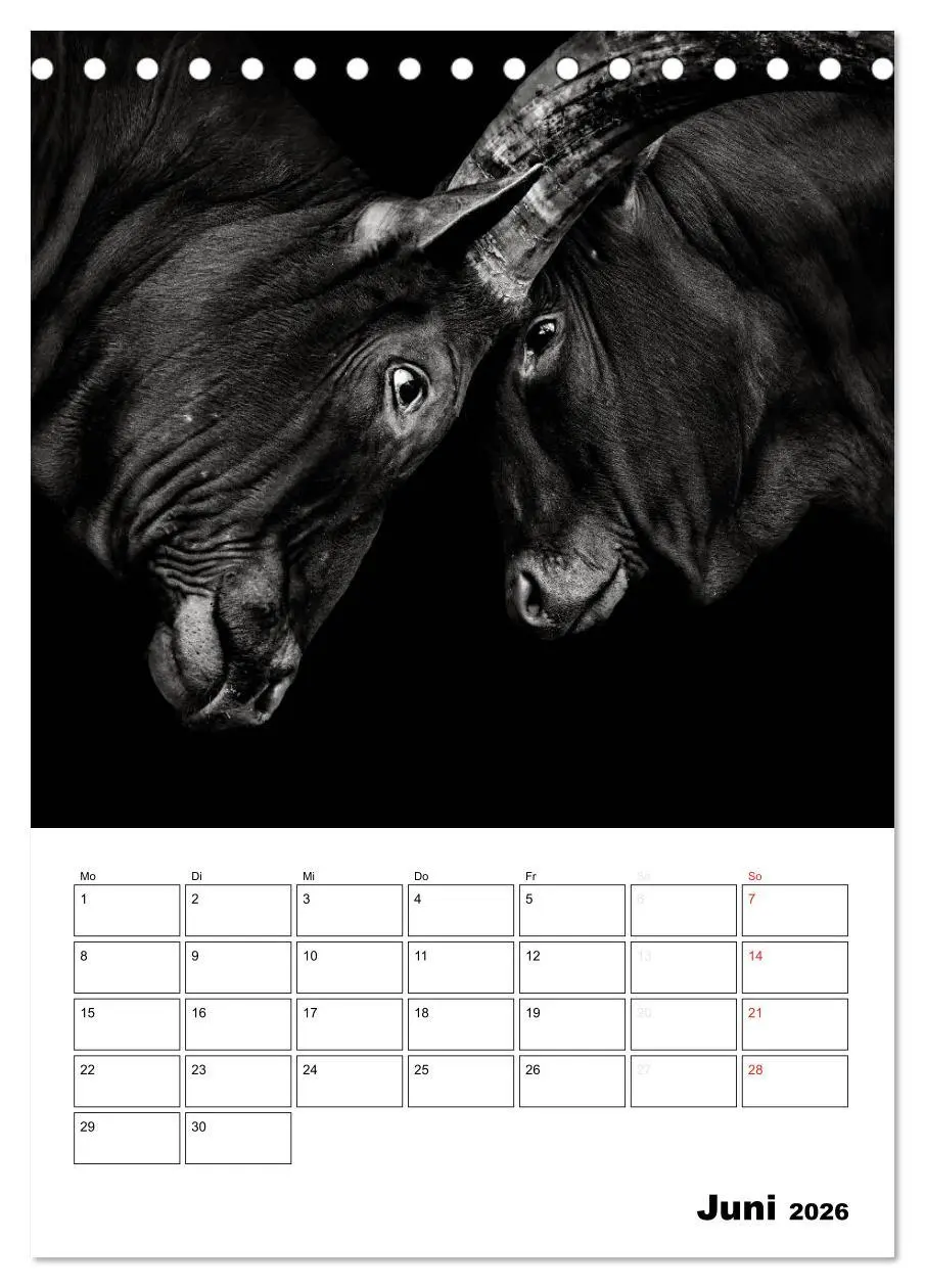 Bild: 9783516428209 | Charakterköpfe aus der Welt der Tiere (Tischkalender 2026 DIN A5...