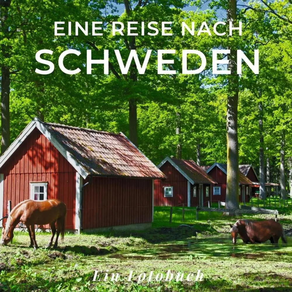 Cover: 9783750518209 | Eine Reise nach Schweden | Tania Sardí | Taschenbuch | 42 S. | Deutsch