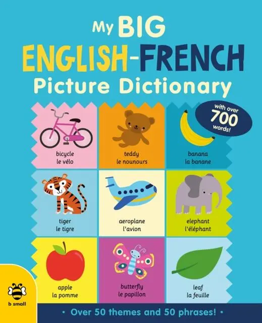 Cover: 9781913918309 | My Big English-French Picture Dictionary | Catherine Bruzzone (u. a.)