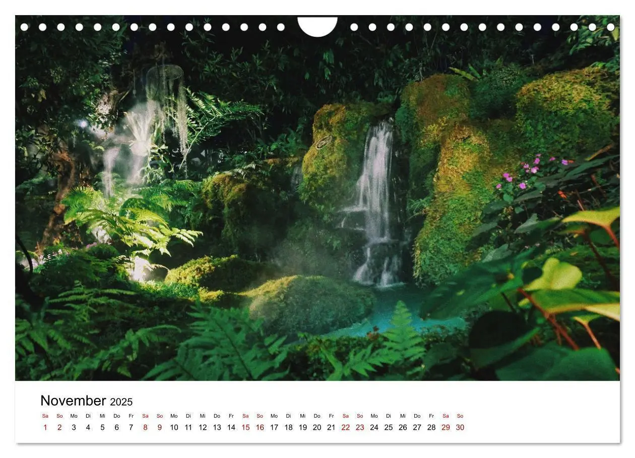 Bild: 9783383998409 | Naturparadies Madagaskar (Wandkalender 2025 DIN A4 quer), CALVENDO...