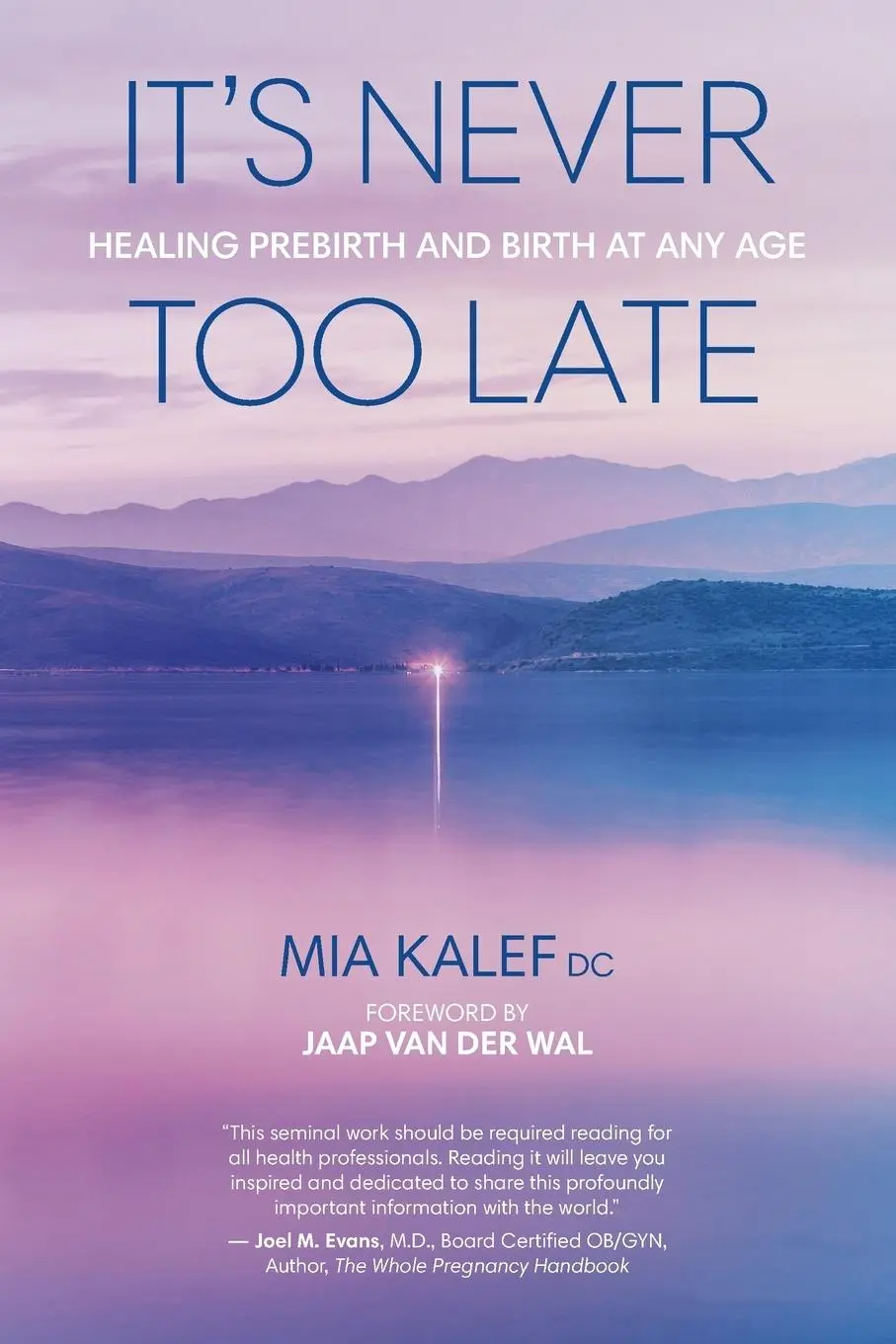Cover: 9781775398509 | It's Never Too Late | Healing Prebirth And Birth At Any Age | Kalef
