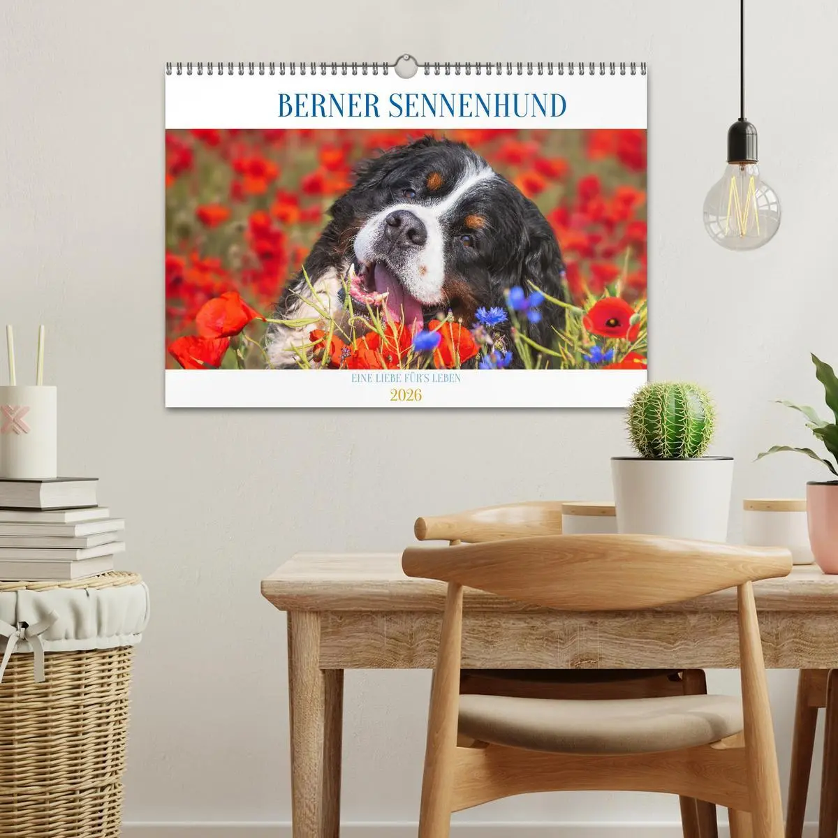Bild: 9783457548509 | Berner Sennenhund - Eine Liebe für´s Leben (Wandkalender 2026 DIN...