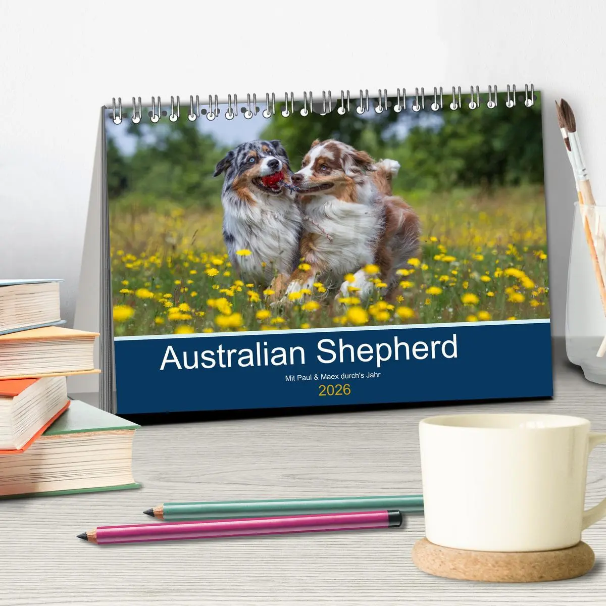 Bild: 9783516008609 | Australian Shepherd 2026 (Tischkalender 2026 DIN A5 quer), CALVENDO...