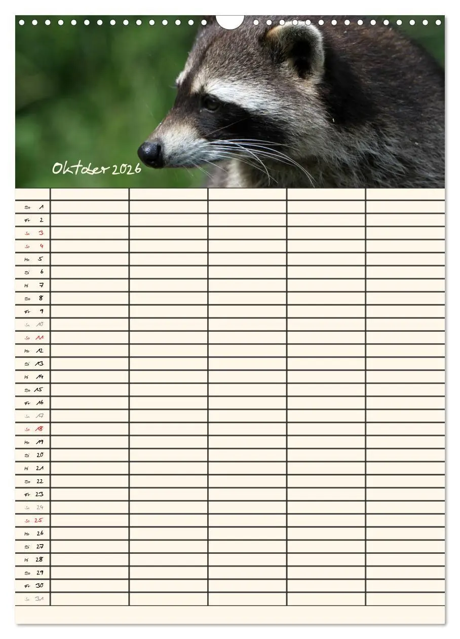 Bild: 9783516478709 | Waschbären Familienplaner (Wandkalender 2026 DIN A3 hoch), CALVENDO...