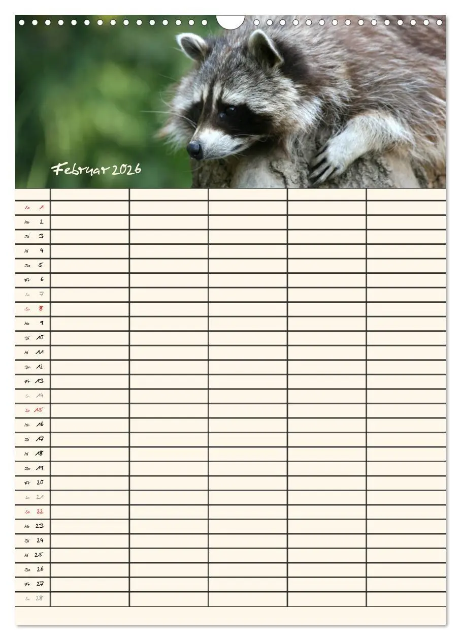 Bild: 9783516478709 | Waschbären Familienplaner (Wandkalender 2026 DIN A3 hoch), CALVENDO...