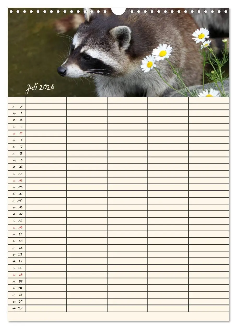 Bild: 9783516478709 | Waschbären Familienplaner (Wandkalender 2026 DIN A3 hoch), CALVENDO...