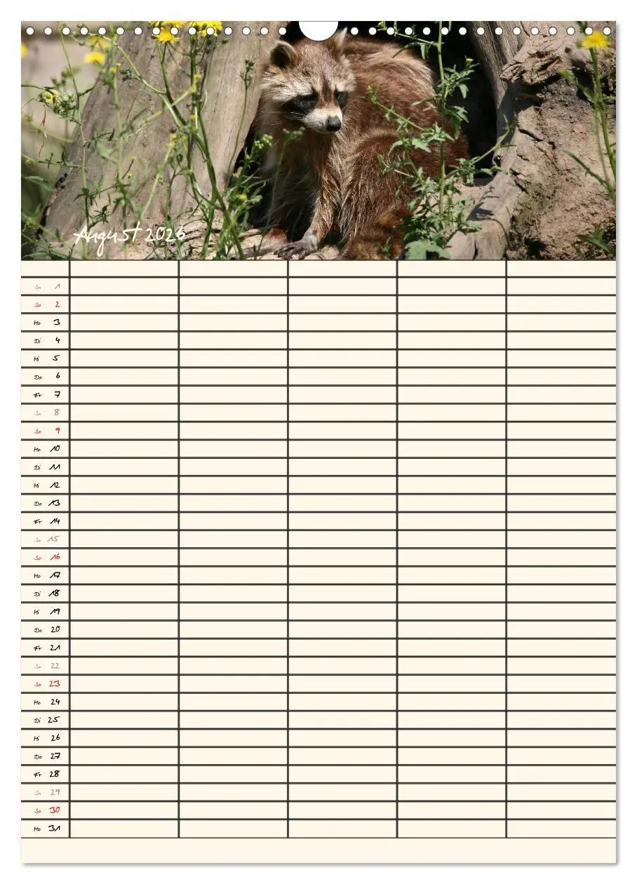 Bild: 9783516478709 | Waschbären Familienplaner (Wandkalender 2026 DIN A3 hoch), CALVENDO...