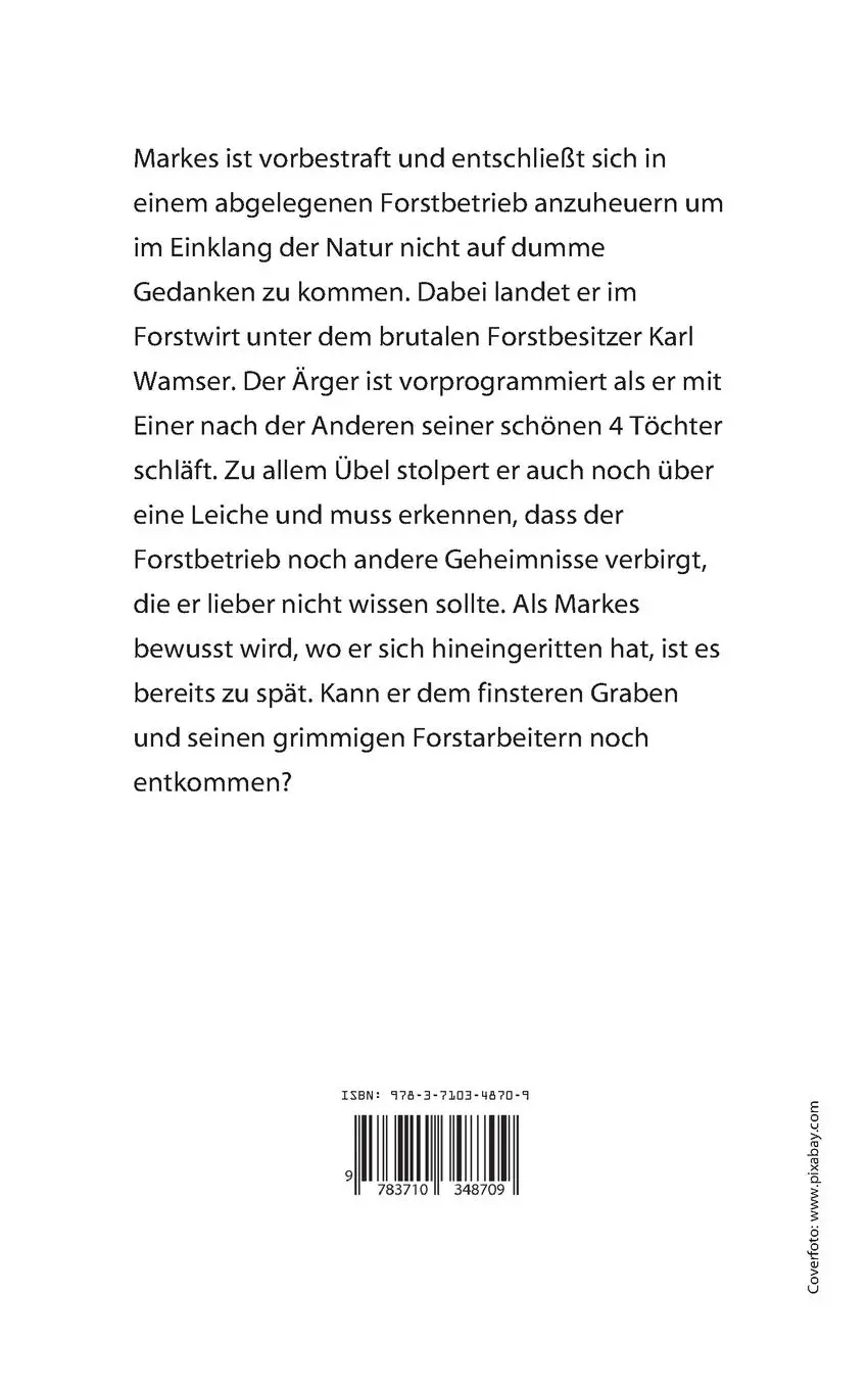 Rückseite: 9783710348709 | Im Sumpf der Versuchung | Maja Tivanni | Taschenbuch | 258 S. | 2020