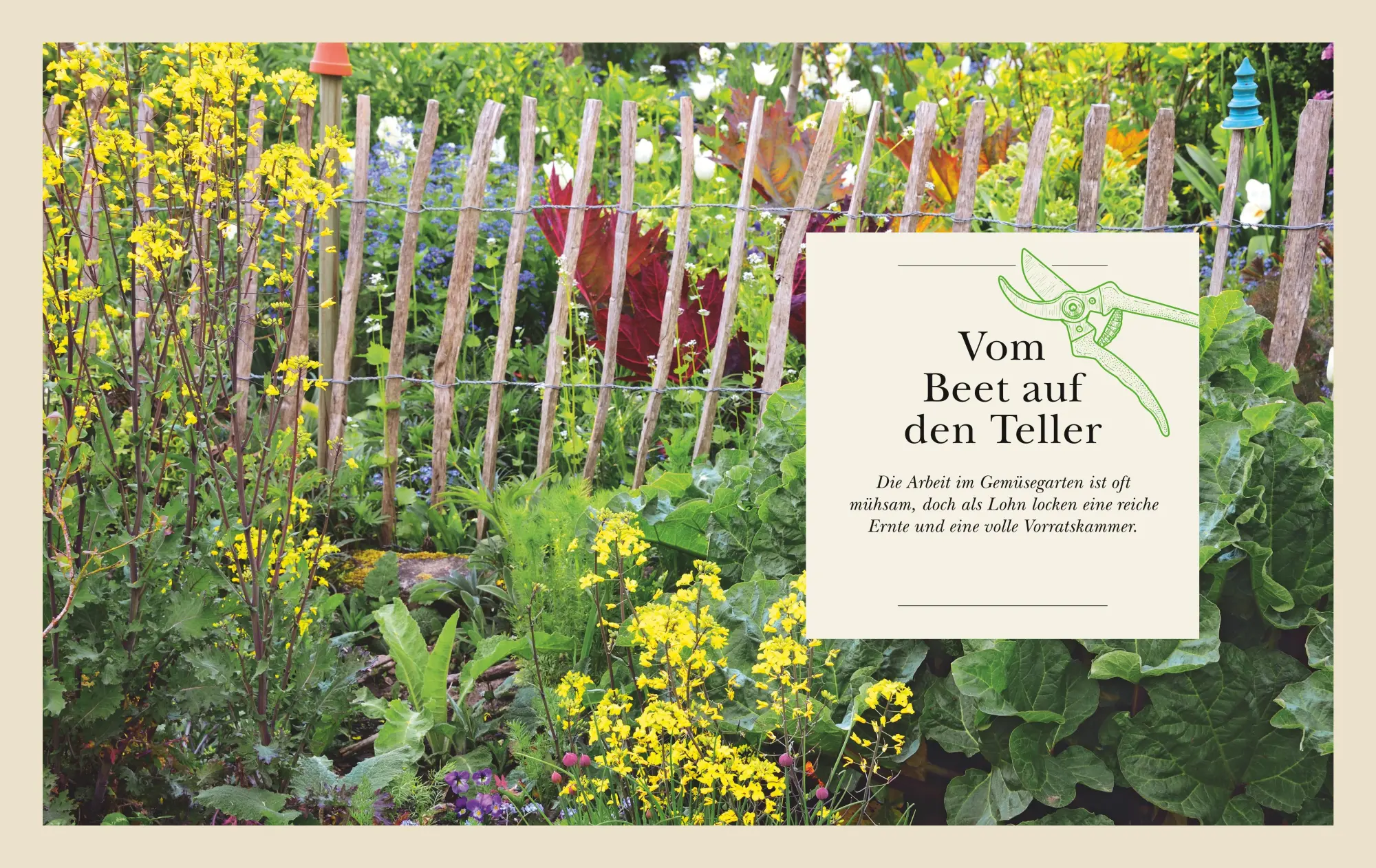 Bild: 9783833898709 | Das große Garten-Gemüse-Buch | Cynthia Nagel | Buch | 240 S. | Deutsch