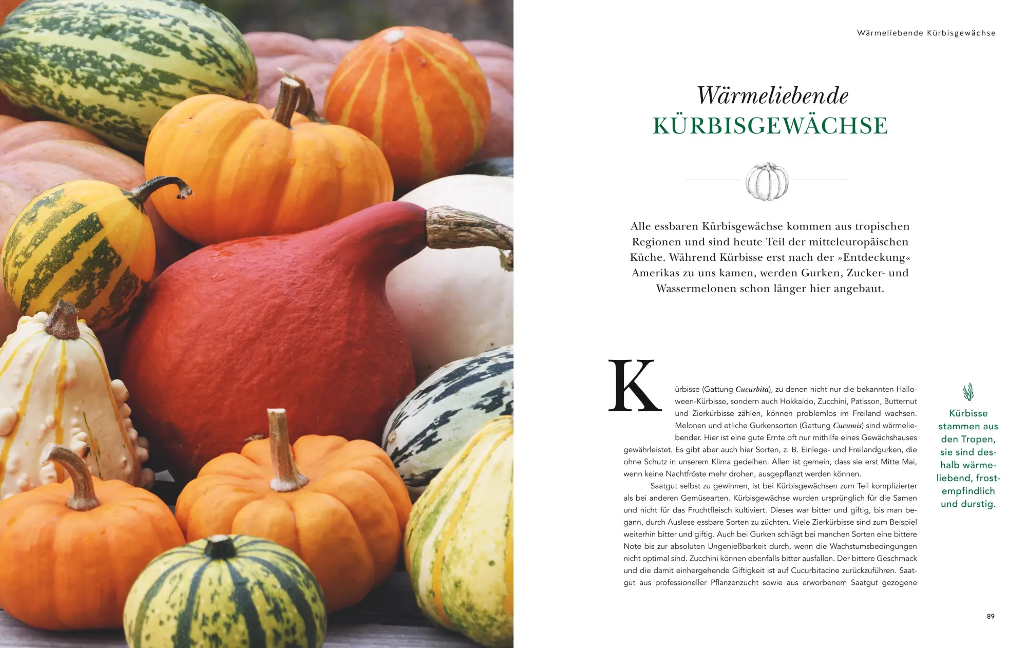 Bild: 9783833898709 | Das große Garten-Gemüse-Buch | Cynthia Nagel | Buch | 240 S. | Deutsch