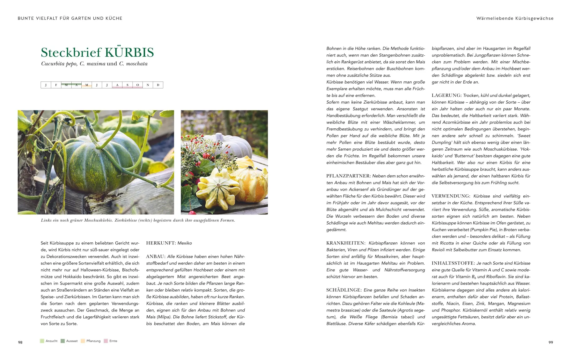 Bild: 9783833898709 | Das große Garten-Gemüse-Buch | Cynthia Nagel | Buch | 240 S. | Deutsch