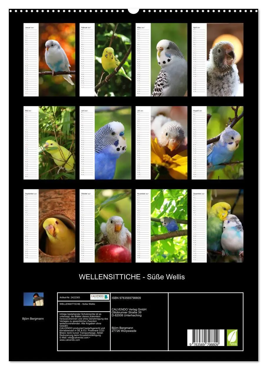 Bild: 9783569798809 | WELLENSITTICHE - Süße Wellis (Wandkalender 2027 DIN A2 hoch),...