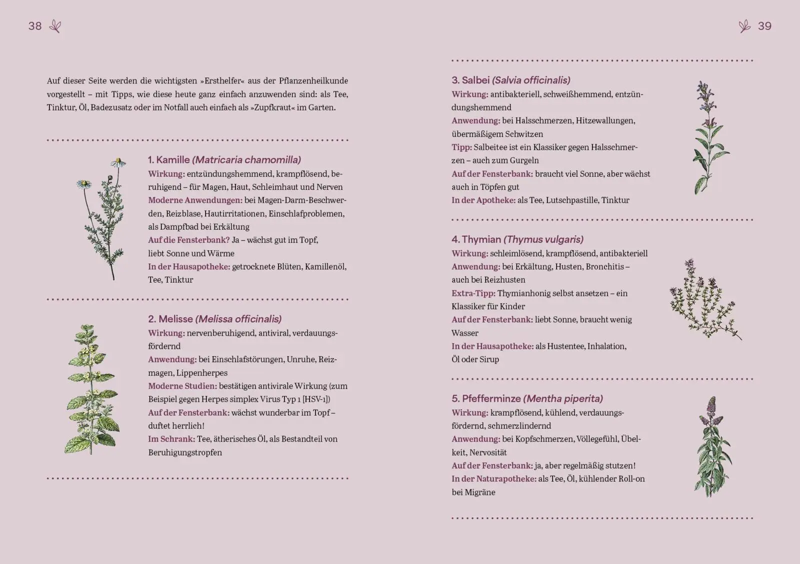 Bild: 9783742328809 | Herbal Healing - Medizin aus der Natur | Melanie Wenzel | Taschenbuch