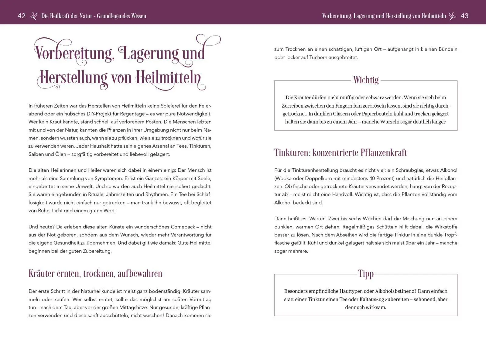 Bild: 9783742328809 | Herbal Healing - Medizin aus der Natur | Melanie Wenzel | Taschenbuch