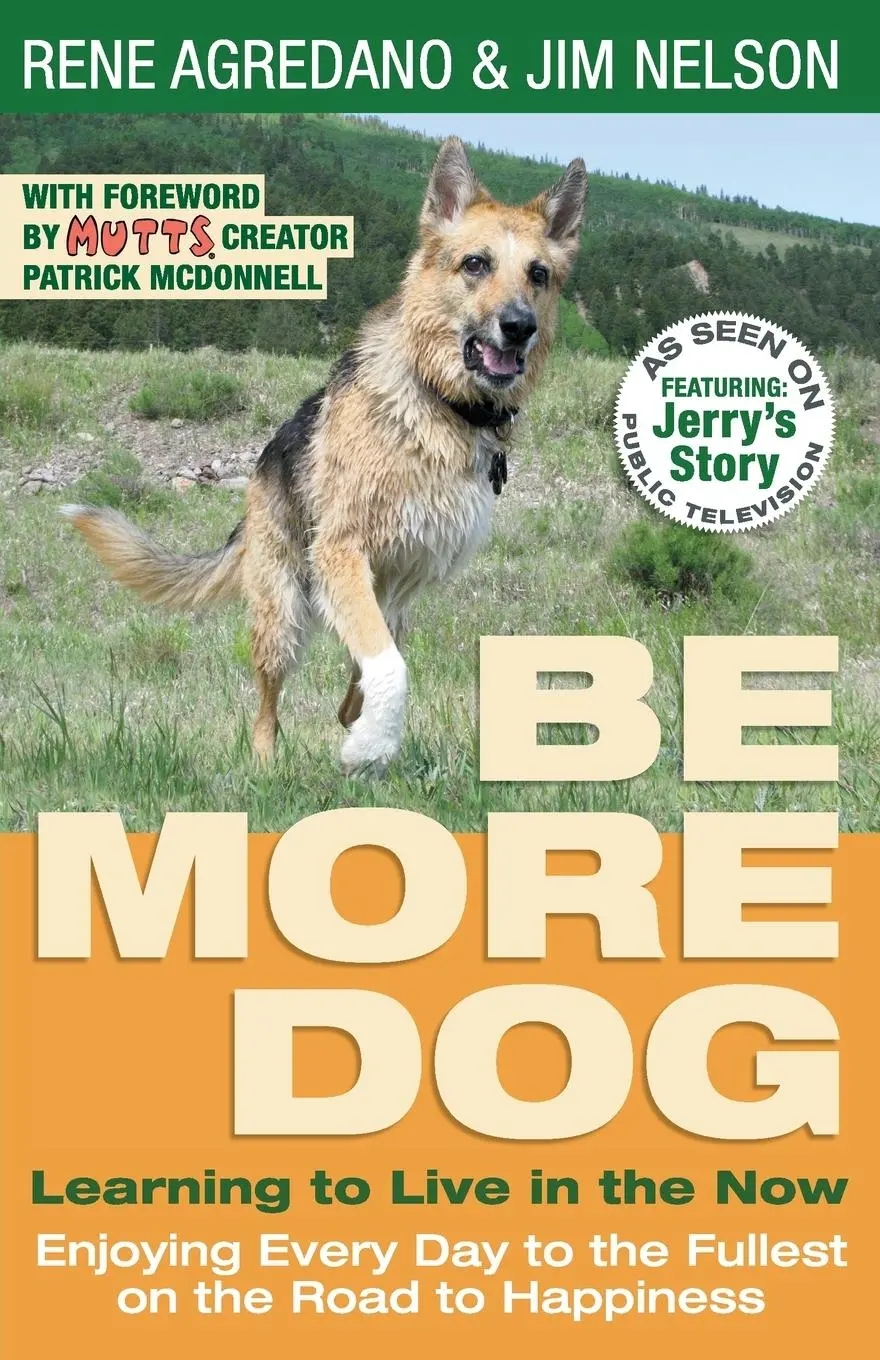 Cover: 9781733468909 | Be More Dog | Learning to Live in the Now | Rene Agredano (u. a.)