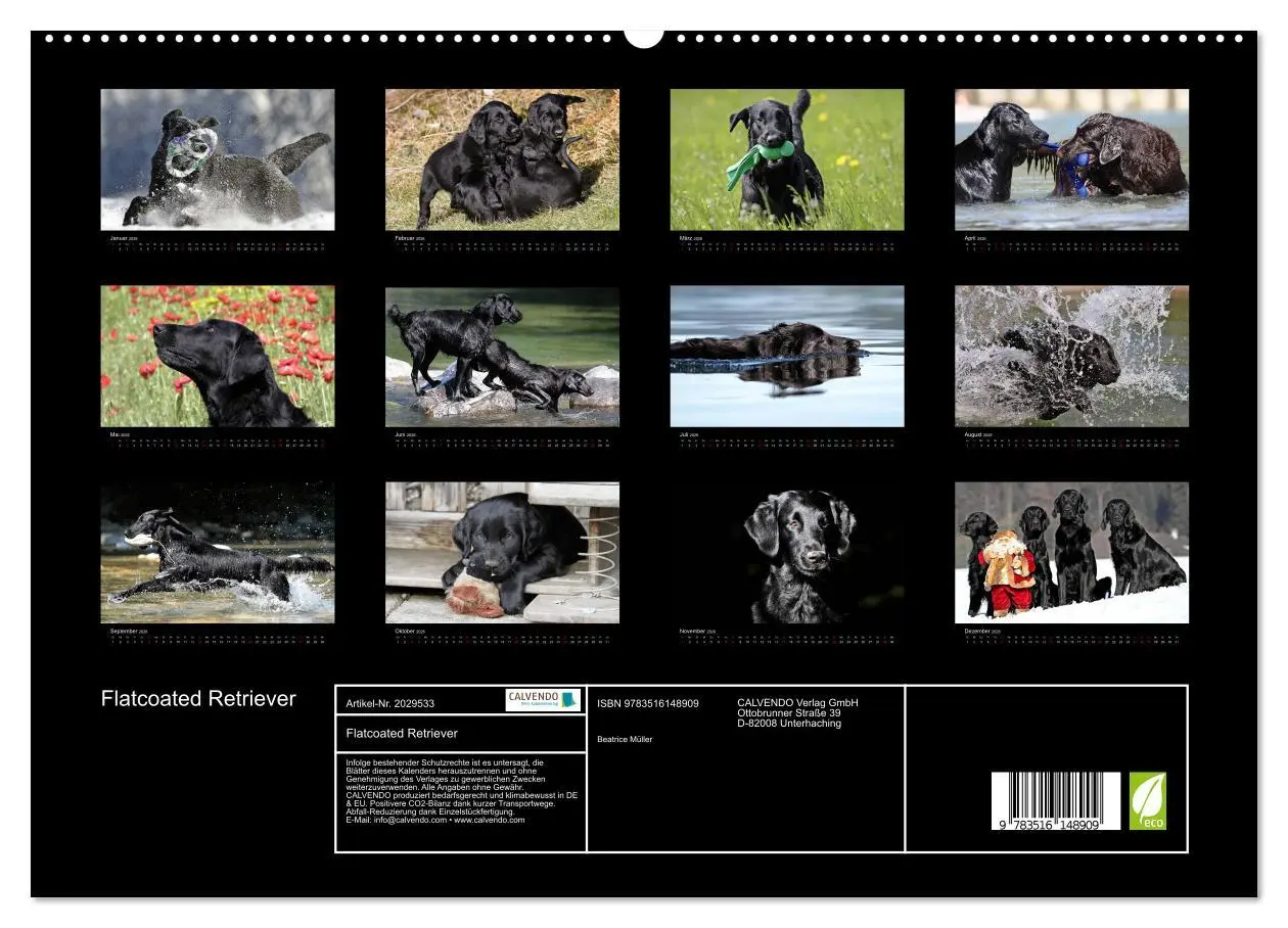 Bild: 9783516148909 | Flatcoated Retriever (hochwertiger Premium Wandkalender 2026 DIN A2...